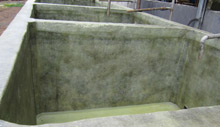 FRP lining to Spent wash Tank